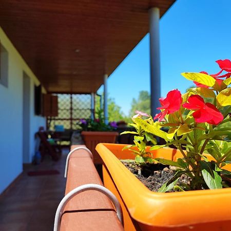 Apartman Dunav Aljmaš Екстериор снимка