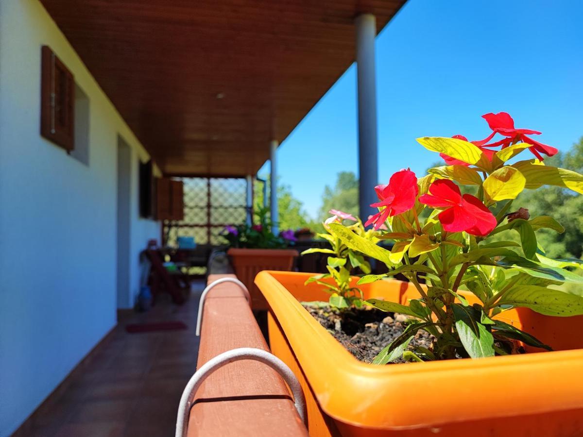 Apartman Dunav Aljmaš Екстериор снимка